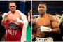   IBF насрочи търг за Джошуа – Пулев