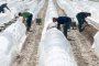  ЕК: България не бива да спира сезонните работници 