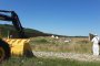 Отпадъците край Червен бряг били внос от Румъния и Словакия 