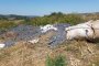 Над 180 тона отрови, заровени край Червен бряг