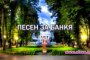 Депутат и др. с песен за Банкя