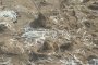 Бели лентички изхвърля морето по плажовете на Черноморието