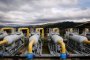 Газовата връзка с Гърция оттича за някога през 2021 г.
