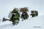 Фото на деня: Швейцарските кукери дрънкат 