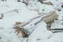 Откриха опасни отпадъци с живак на незаконно сметище