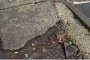 ТЕЛК в болница Св. Анна във Варна е недостъпен за хора с увреждания 