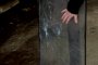 Жена е убита във вилна зона край Ямбол 