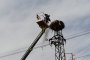 Възстановиха гнездо на щъркели в с. Мировяне 