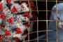 Отглеждането на животни за ценни кожи трябва спешно да бъде прекратено: Четири лапи