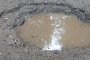 43-г. тича гол и пие от локва на улицата в Разградско    