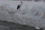 Щъркел