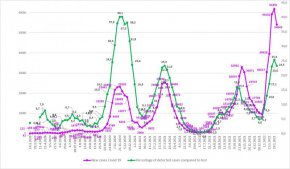 Брой на положителните тестове с К19 през седмицата 29 януари - 5 февруари
