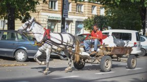  До момента придвижването с животинска тяга е забранено само в центъра на столицата