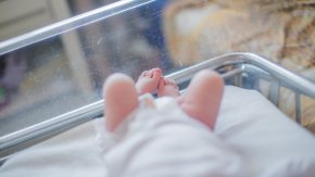  Разследва се дали става въпрос за немарливо изпълнение на дейност, представляваща източник на висока опасност