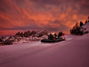 Фото на деня