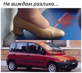 Вицове