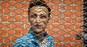 Историята представлява наситен с емоционална дълбочина трилър на отмъщението. Зрителите ще могат да гледат и най-новият филм на Радивое Андрич Как се научих да летя, съвместна продукция между Сърбия, Хърватия, България и Словакия