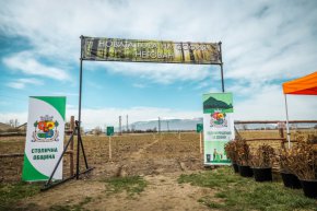 Залесителната кампания тази пролет е 4 уикенда