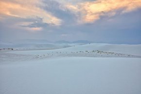 Фото на деня