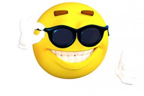 Вицове