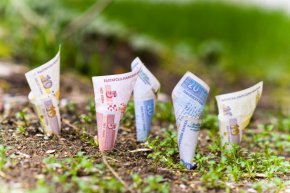 Тези, които искат да продадат земята си изгодно, имат време само до средата на юни, за да се възползват от промоцията на пазарният лидер „Агрион“