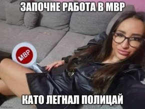 Вицове