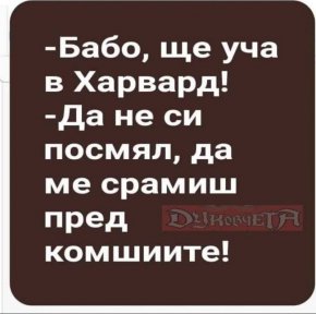 Вицове