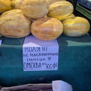 Фото на деня