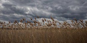 От своя страна, руската страна настоява, че нейните собствени зърнени култури и торове са блокирани заради мерките на ЕС - твърдение, което европейците категорично отхвърлят.