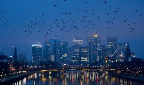 
Индексът спадна до 88,6 пункта през юли от 92,2 пункта през юни, достигайки най-ниското си ниво от 2020 г. насам.