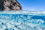 Рибена чорба - морето на Сардиния: Фото на деня