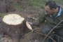 Незаконна сеч в близост до Белица