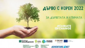  За 13-а поредна година организаторите от фондация „ЕкоОбщност” обявиха официалното набиране на номинации. Всички, които искат да представят интересно и любимо за тях дърво в категориите „Дърво с корен”, „Вековните дървета говорят“ и „Млад природолюбител”, могат да кандидатстват до 17 октомври 2022 г.