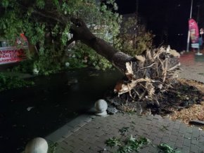 
Освен Поморие, бурята удари Бургас, Несебър, "Слънчев бряг" и Созопол.