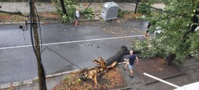 От силния вятър има паднали дървета, електрически стълбове, билбордове, указателни табели, огради, преобърнати пейки