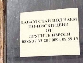 Вицове