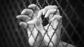 С цел сексуална експлоатация пострадалите са 47, като от тях 45 са жени. Жертва на трудова експлоатация са станали 60 души. 9 деца също са били жертви на трафик, става ясно от сигналите. 

 