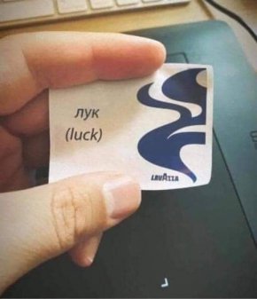 Вицове