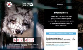 Нима е нужно да се обличаме с живота на невинните жертви на фермите за кожи?