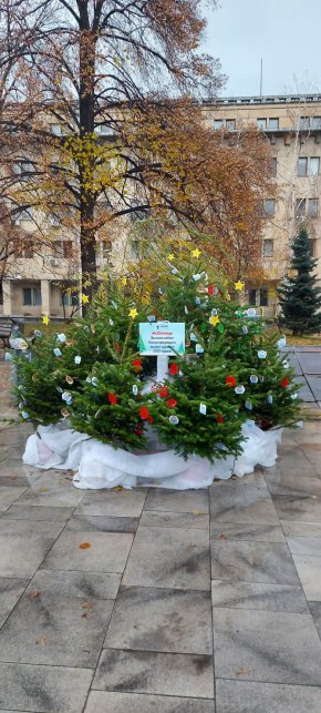 фото на деня