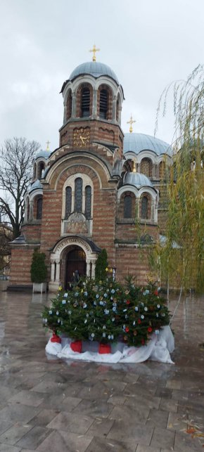фото на деня