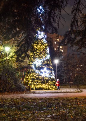 Фото на деня