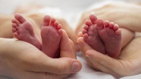 Смъртността на територията на общината е 783, като само за града починалите са 584. Сключени са 126 брака, а регистрираните разводи са 69.