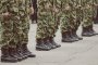 Специалните сили на сръбските въоръжени сили