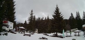 
Младежите правили нощен излет с кола, обясниха от спасителната служба.