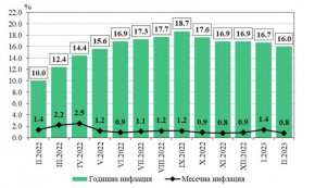 През февруари спрямо предходния месец най-голямо е увеличението на цените на хранителни продукти и безалкохолни напитки (с 2,4%), в съобщенията (с 1,9%), ресторанти и хотели (с 1,1%), развлечения и култура (с 1,1%) и в здравеопазването (с 1%).
