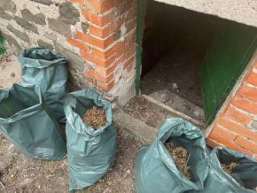 
При друга операция в Ямбол спецполицаите задържаха двама криминално проявени в момент на продажба на голямо количество наркотични вещества. В колата им са намерени и иззети 8,5 килограма зелена тревиста маса, реагираща на полеви наркотест на марихуана.