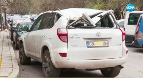 Опасни дървета в Изгрев