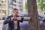 Стари дървета