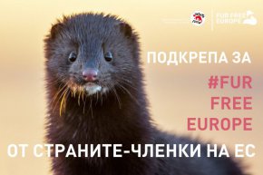 
Държавите изтъкнаха събраните 1.5 валидирани подписа на Европейската гражданска инициатива “Европа без кожи” като основание жестоката и остаряла практика да бъде спряна.